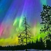 Colorful Aurora Lights Forest 5D Diamond Painting