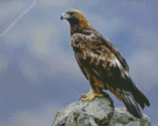 Golden Eagle Bird 5D Diamond Painting
