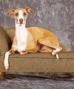 Italian Greyhound On Sofa 5D Diamond Painting