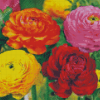 Peonies And Ranunculus 5D Diamond Painting