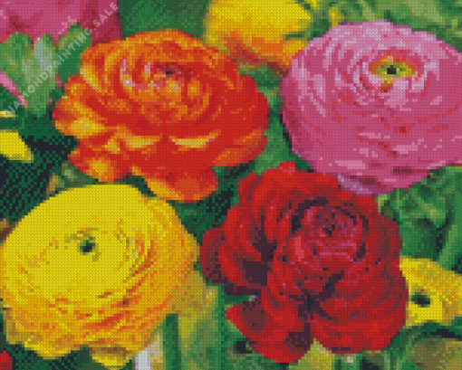 Peonies And Ranunculus 5D Diamond Painting