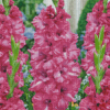 Pink Gladiolus 5D Diamond Painting