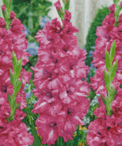 Pink Gladiolus 5D Diamond Painting