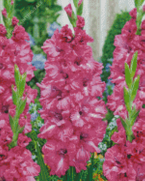 Pink Gladiolus 5D Diamond Painting