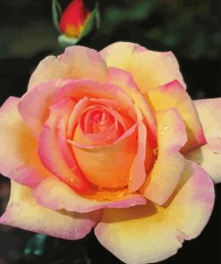 Rosa Peace 5D Diamond Painting