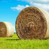 Round Hay Bales In Green Field 5D Diamond Painting