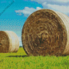 Round Hay Bales In Green Field 5D Diamond Painting