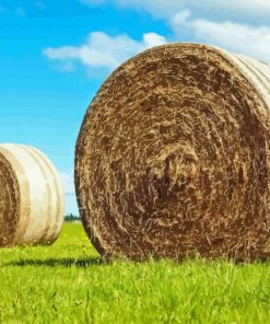 Round Hay Bales In Green Field 5D Diamond Painting