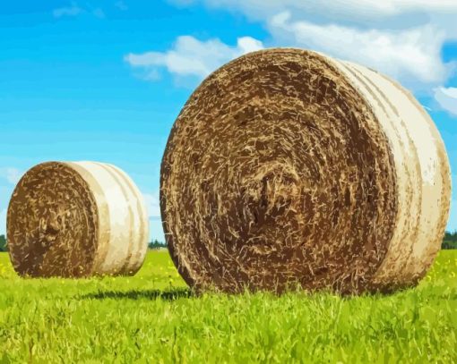 Round Hay Bales In Green Field 5D Diamond Painting