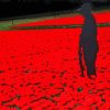 Soldiers And Poppies Field 5D Diamond Painting