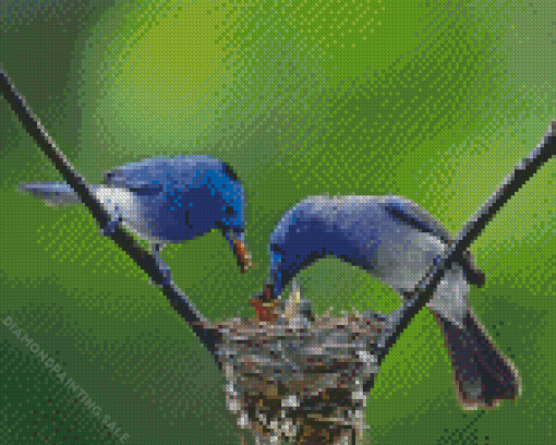 Two Blue Birds 5D Diamond Painting