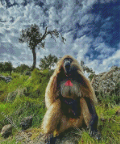 African Baboon Monkey 5D Diamond Painting