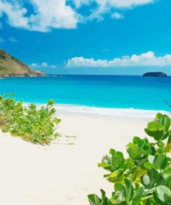 Beautiful Beach in Saint Barthelemy 5D Diamond Painting