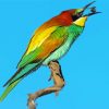 Bee Eater Art 5D Diamond Painting