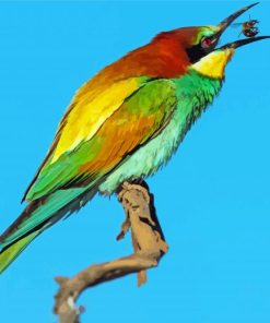 Bee Eater Art 5D Diamond Painting