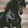 Black Stallion Horse 5D Diamond Painting