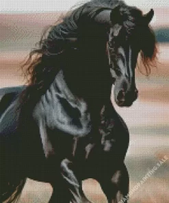 Black Stallion Horse 5D Diamond Painting