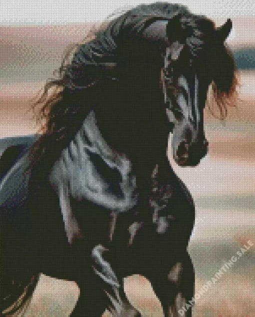 Black Stallion Horse 5D Diamond Painting