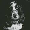 Black And White Cocker Spaniel Art 5D Diamond Painting