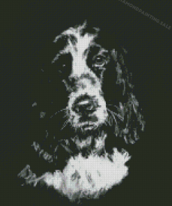 Black And White Cocker Spaniel Art 5D Diamond Painting