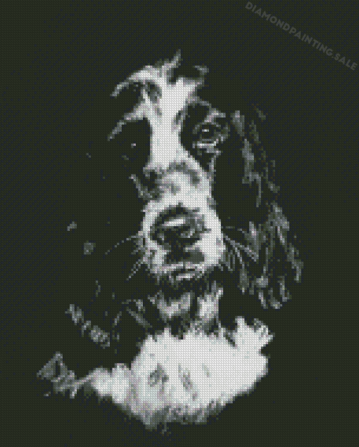 Black And White Cocker Spaniel Art 5D Diamond Painting