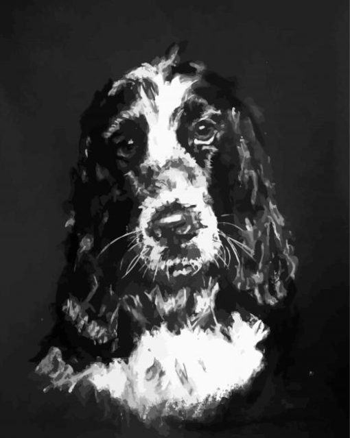 Black And White Cocker Spaniel Art 5D Diamond Painting