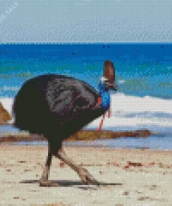 Cassowary 5D Diamond Painting