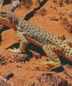 Desert Gecko Reptile 5D Diamond Painting