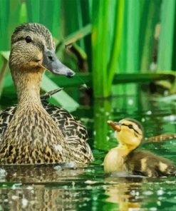 Ducks In Pond 5D Diamond Painting