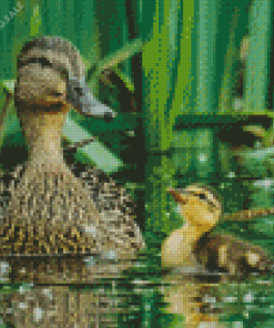 Ducks In Pond 5D Diamond Painting