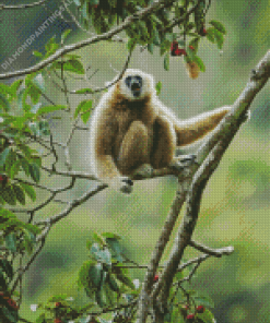 Gibbon On Tree Branch 5D Diamond Painting