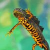 Northern Crested Newt 5D Diamond Painting