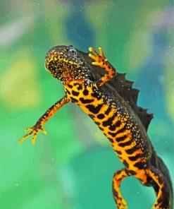 Northern Crested Newt 5D Diamond Painting