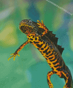 Northern Crested Newt 5D Diamond Painting