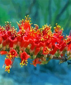 Ocotillo Desert Plant 5D Diamond Painting