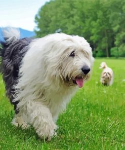 Old English Sheepdog 5D Diamond Painting