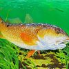 Red Drum Fish Underwater 5D Diamond Painting