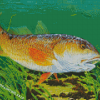 Red Drum Fish Underwater 5D Diamond Painting