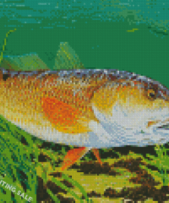 Red Drum Fish Underwater 5D Diamond Painting