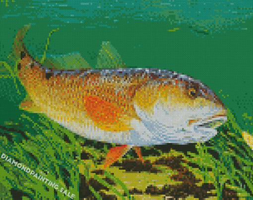 Red Drum Fish Underwater 5D Diamond Painting