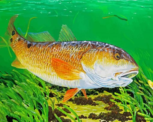 Red Drum Fish Underwater 5D Diamond Painting