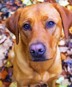 Red Fox Labrador Dog 5D Diamond Painting