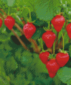 Strawberry Plant 5D Diamond Painting