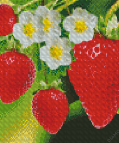 Strawberry Plant With Flowers 5D Diamond Painting