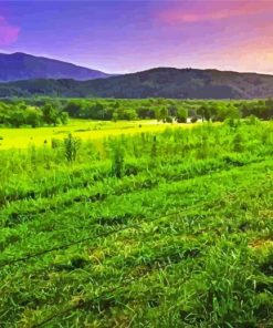 Stunning Sunset In Cades Cove 5D Diamond Painting