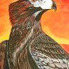 Sunset Wedge Tailed Eagle Bird 5D Diamond Painting