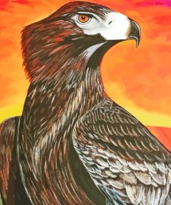 Sunset Wedge Tailed Eagle Bird 5D Diamond Painting