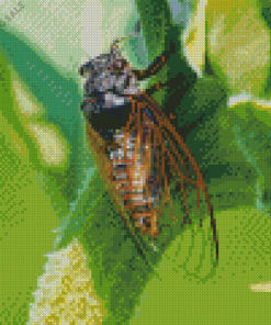 The Cicadas 5D Diamond Painting