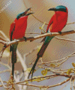 Two Southern Carmine Bee Eater 5D Diamond Painting