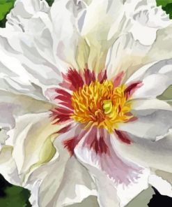 White Peony 5D Diamond Painting